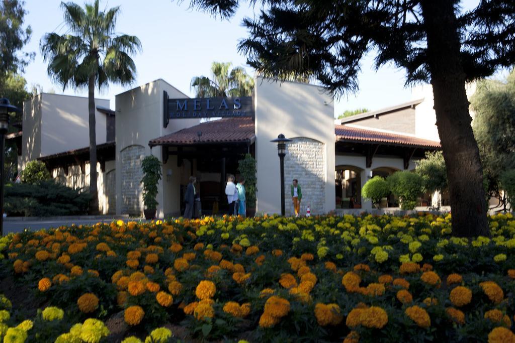 Melas Village 5* סייד